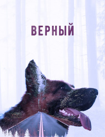 Верный